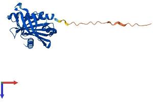 AlphaFold protein structure predicition of Mouse Recombinant Stard6 Protein, UniprotID P59096