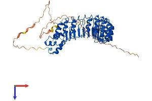 AlphaFold protein structure predicition of Mouse Recombinant Fbxl7 Protein, UniprotID Q5BJ29