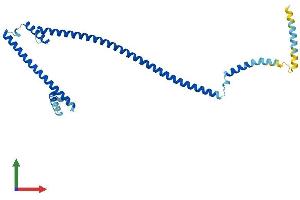 AlphaFold protein structure predicition of Mouse Recombinant Haus1 Protein, UniprotID Q8BHX1