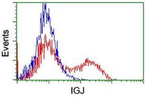 Flow Cytometry (FACS) image for anti-Immunoglobulin J Polypeptide, Linker Protein For Immunoglobulin alpha and mu Polypeptides (IGJ) antibody (ABIN1498836) (IGJ anticorps)