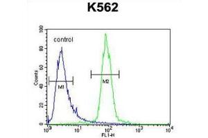 Flow Cytometry (FACS) image for anti-Ribulose-5-Phosphate-3-Epimerase-Like (RPEL1) antibody (ABIN2995143) (Ribulose-5-Phosphate-3-Epimerase-Like (RPEL1) anticorps)