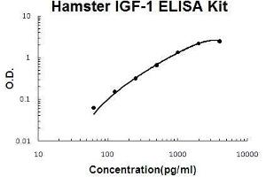 Hamster IGF-1 PicoKine ELISA Kit standard curve (IGF1 Kit ELISA)