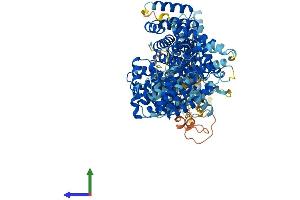 AlphaFold protein structure predicition of Human Recombinant MED24 Protein, UniprotID O75448