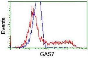 HEK293T cells transfected with either RC215256 overexpress plasmid (Red) or empty vector control plasmid (Blue) were immunostained by anti-GAS7 antibody (ABIN2453056), and then analyzed by flow cytometry. (GAS7 anticorps)