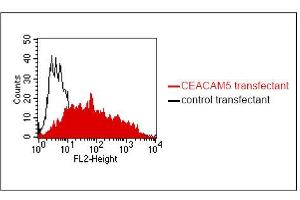 FACS analysis of BOSC23 cells using 4/3/17. (CEACAM1/5 anticorps)
