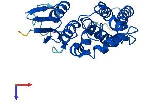 AlphaFold protein structure predicition of Human Recombinant CLIC3 Protein, UniprotID O95833