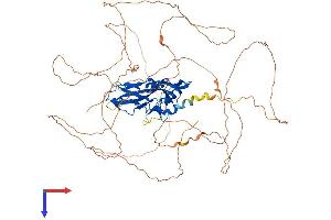 AlphaFold protein structure predicition of Mouse Recombinant Eomes Protein, UniprotID O54839