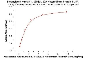 Immobilized Biotinylated Human IL-12B&IL-12A Heterodimer Protein, His,Avitag&Flag Tag (ABIN6973104) at 1 μg/mL (100 μL/well)on streptavidin precoated (0.