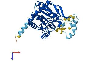 AlphaFold protein structure predicition of Human Recombinant HSD17B7 Protein, UniprotID P56937