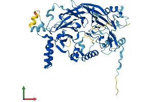 AlphaFold protein structure predicition of Human Recombinant DET1 Protein, UniprotID Q7L5Y6