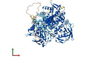 AlphaFold protein structure predicition of Mouse Recombinant Ireb2 Protein, UniprotID Q811J3