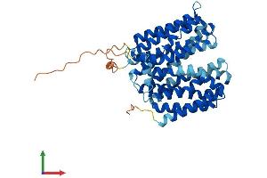 AlphaFold protein structure predicition of Human Recombinant SLC22A18 Protein, UniprotID Q96BI1