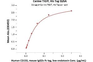 Immobilized Canine TIGIT, His Tag (ABIN6731347,ABIN6809851) at 5 μg/mL (100 μL/well) can bind Human CD155, mouse IgG2a Fc tag, low endotoxin (ABIN4949085,ABIN4949086) with a linear range of 0.