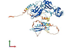 AlphaFold protein structure predicition of Human Recombinant RBM46 Protein, UniprotID Q8TBY0