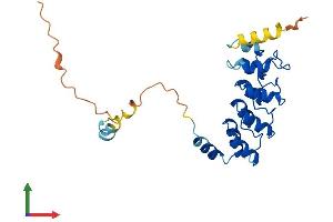 AlphaFold protein structure predicition of Mouse Recombinant Ankrd49 Protein, UniprotID Q8VE42