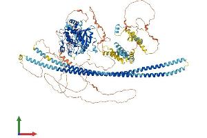 AlphaFold protein structure predicition of Mouse Recombinant Taok2 Protein, UniprotID Q6ZQ29