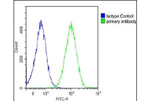 Overlay histogram showing Ramos cells stained with (ABIN652257 and ABIN2841071)(green line).