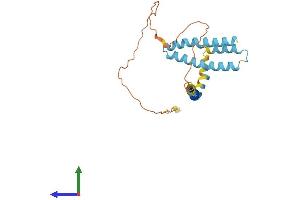 AlphaFold protein structure predicition of Mouse Recombinant Reep3 Protein, UniprotID Q99KK1