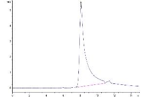 The purity of Human IL-10 Protein is greater than 95 % as determined by SEC-HPLC.
