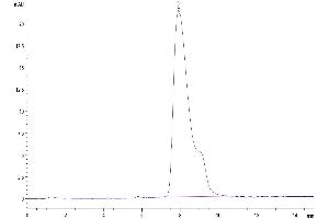 The purity of Human AXL is greater than 95 % as determined by SEC-HPLC.