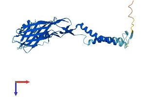 AlphaFold protein structure predicition of Mouse Recombinant Tmem231 Protein, UniprotID Q3U284