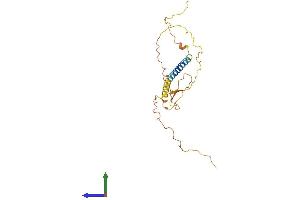 AlphaFold protein structure predicition of Mouse Recombinant Trap1a Protein, UniprotID P19473 (Trap1a Protein (AA 1-224) (His tag))