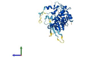 AlphaFold protein structure predicition of Human Recombinant PBK Protein, UniprotID Q96KB5