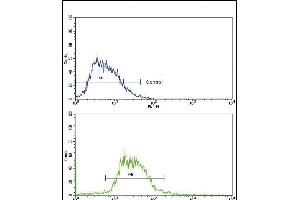 Flow cytometric analysis of HepG2 cells using GCG Antibody (N-term)(bottom histogram) compared to a negative control cell (top histogram).
