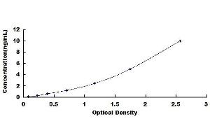 Diacylglycerol Kinase, alpha 80kDa (DGKA) ELISA Kit