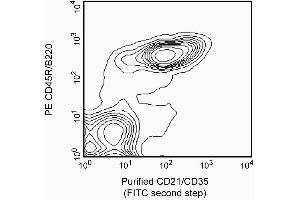 Expression of CD21/CD35 on splenic B lymphocytes.