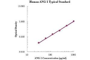 ELISA image for Angiopoietin 1 (ANGPT1) ELISA Kit (ABIN3198499)
