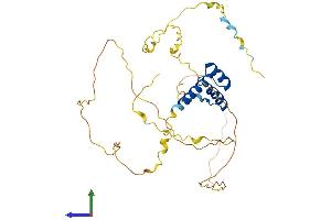 AlphaFold protein structure predicition of Human Recombinant ALX3 Protein, UniprotID O95076