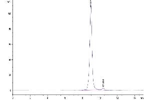 The purity of Cynomolgus/Rhesus macaque FcRn is greater than 95 % as determined by SEC-HPLC.