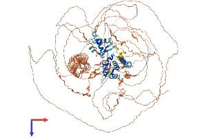 AlphaFold protein structure predicition of Human Recombinant MAGEL2 Protein, UniprotID Q9UJ55