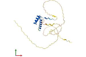 AlphaFold protein structure predicition of Human Recombinant DLX1 Protein, UniprotID P56177