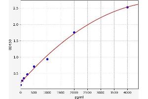 Secretoglobin, Family 1A, Member 1 (Uteroglobin) (SCGB1A1) ELISA Kit