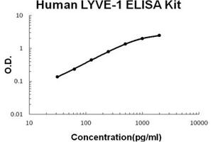 Human LYVE-1 PicoKine ELISA Kit standard curve (LYVE1 Kit ELISA)