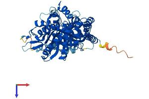 AlphaFold protein structure predicition of Human Recombinant TUBA1A Protein, UniprotID Q71U36