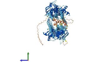 AlphaFold protein structure predicition of Human Recombinant ABCB4 Protein, UniprotID P21439