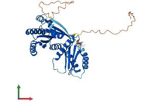 AlphaFold protein structure predicition of Human Recombinant RRAGB Protein, UniprotID Q5VZM2