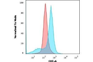 Flow Cytometric Analysis of U87MG cells using CD73 Mouse Monoclonal Antibody (NT5E/2545) followed by goat anti-Mouse IgG-CF488 (Blue); Isotype Control (Red).