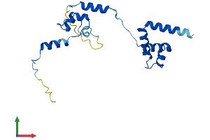 AlphaFold protein structure predicition of Human Recombinant NOP16 Protein, UniprotID Q9Y3C1