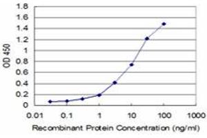 Detection limit for recombinant GST tagged CTH is approximately 1ng/ml as a capture antibody. (CTH anticorps  (AA 1-405))
