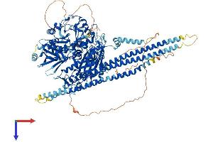 AlphaFold protein structure predicition of Human Recombinant PLCB1 Protein, UniprotID Q9NQ66