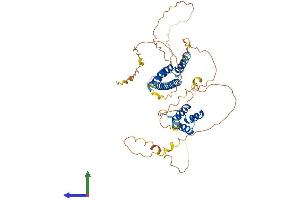 AlphaFold protein structure predicition of Human Recombinant PKNOX2 Protein, UniprotID Q96KN3