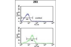 P3R2 Antibody (N-term) (ABIN653332 and ABIN2842820) flow cytometric analysis of 293 cells (bottom histogram) compared to a negative control cell (top histogram).