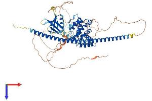 AlphaFold protein structure predicition of Mouse Recombinant Arhgap25 Protein, UniprotID Q8BYW1