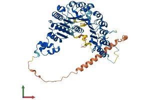 AlphaFold protein structure predicition of Mouse Recombinant Fbxo33 Protein, UniprotID Q8VE08