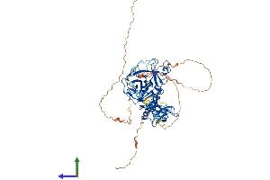 AlphaFold protein structure predicition of Human Recombinant TMPRSS13 Protein, UniprotID Q9BYE2