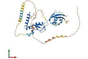 AlphaFold protein structure predicition of Human Recombinant PCGF6 Protein, UniprotID Q9BYE7